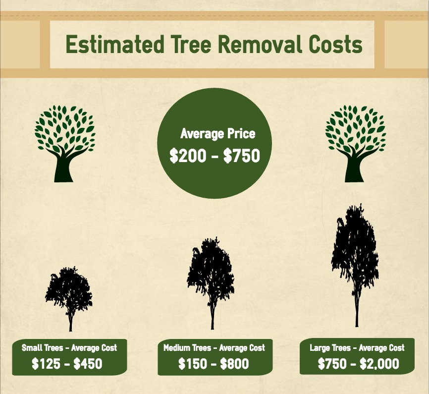 estimated tree removal costs in Roanoke